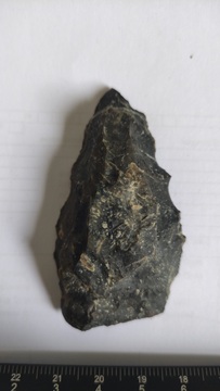 paleolitska konica